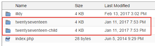 WordPress Child Theme